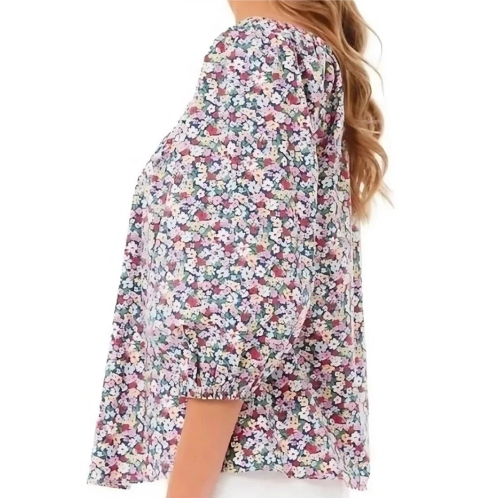 Tuckernuck Pomander Place Ditsy Floral Brooks Blouse Pink Blue Y20956XKGT Small